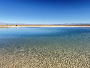 Laguna Cejar