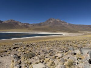 Laguna Miscanti