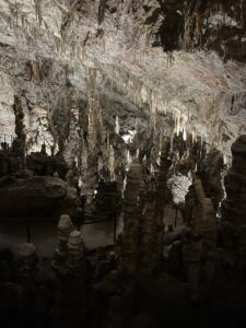 Grotte Postumia