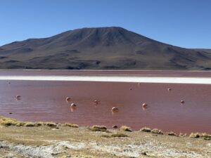Laguna colorada