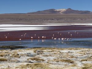 Laguna colorada