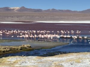 Laguna colorada