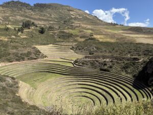 Moray