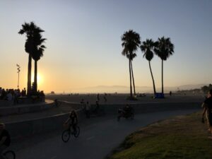 Venice beach