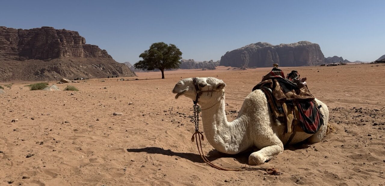 Wady rum – Aqaba